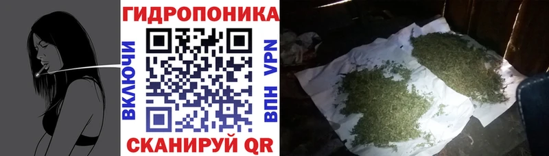 Марихуана тримм  цены   Балашиха 